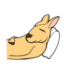 All my life is kangaroo！（個別スタンプ：9）