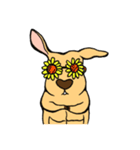 All my life is kangaroo！（個別スタンプ：11）