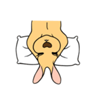 All my life is kangaroo！（個別スタンプ：12）