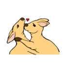 All my life is kangaroo！（個別スタンプ：14）