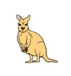 All my life is kangaroo！（個別スタンプ：17）