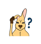 All my life is kangaroo！（個別スタンプ：18）