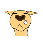 All my life is kangaroo！（個別スタンプ：24）
