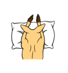 All my life is kangaroo！（個別スタンプ：25）