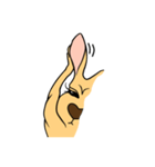 All my life is kangaroo！（個別スタンプ：26）