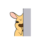 All my life is kangaroo！（個別スタンプ：32）