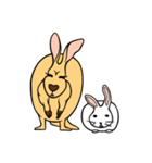 All my life is kangaroo！（個別スタンプ：33）