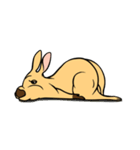 All my life is kangaroo！（個別スタンプ：35）