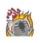 コアラはクマじゃない（個別スタンプ：30）
