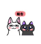 表現豊かなシロにゃんこ（個別スタンプ：5）