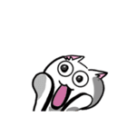 表現豊かなシロにゃんこ（個別スタンプ：11）