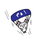 表現豊かなシロにゃんこ（個別スタンプ：14）