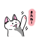 表現豊かなシロにゃんこ（個別スタンプ：37）