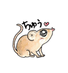 よく使うひと言★動物編（個別スタンプ：5）