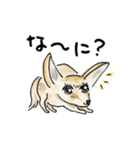 よく使うひと言★動物編（個別スタンプ：10）