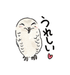 よく使うひと言★動物編（個別スタンプ：13）