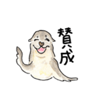 よく使うひと言★動物編（個別スタンプ：27）