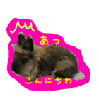 もふもふたちの日常2（個別スタンプ：2）
