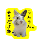 もふもふたちの日常2（個別スタンプ：7）