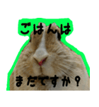 もふもふたちの日常2（個別スタンプ：12）