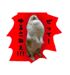 もふもふたちの日常2（個別スタンプ：15）