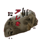 もふもふたちの日常2（個別スタンプ：16）