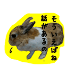 もふもふたちの日常2（個別スタンプ：22）