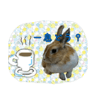 もふもふたちの日常2（個別スタンプ：25）