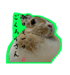 もふもふたちの日常2（個別スタンプ：30）