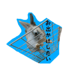 もふもふたちの日常2（個別スタンプ：38）