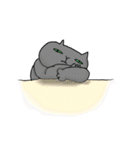 クリーミーくまさんと猫のるんちゃん（個別スタンプ：26）