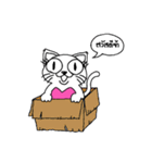 Meaw Pink（個別スタンプ：1）