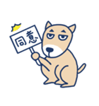 台湾犬アーズー（個別スタンプ：17）