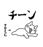 ◆杉本◆専用 白猫さんの名前スタンプ（個別スタンプ：36）
