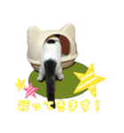 ニコとユキとサン（個別スタンプ：15）
