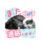 ニコとユキとサン（個別スタンプ：22）