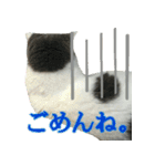 ニコとユキとサン（個別スタンプ：25）