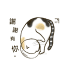 Space bun cat（個別スタンプ：4）