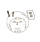 Space bun cat（個別スタンプ：10）