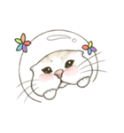 Space bun cat（個別スタンプ：13）