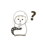 Space bun cat（個別スタンプ：17）