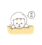 Space bun cat（個別スタンプ：18）