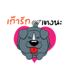 Thongkeaw V.1（個別スタンプ：5）