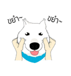 OoMoa's Story（個別スタンプ：28）
