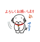 名犬マル坊の日常使えるスタンプ（個別スタンプ：9）