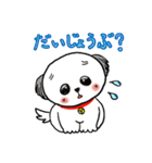 名犬マル坊の日常使えるスタンプ（個別スタンプ：12）