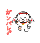名犬マル坊の日常使えるスタンプ（個別スタンプ：17）