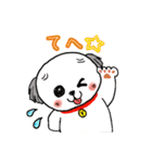 名犬マル坊の日常使えるスタンプ（個別スタンプ：22）