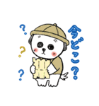 名犬マル坊の日常使えるスタンプ（個別スタンプ：31）