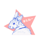 Bunny life（個別スタンプ：1）
